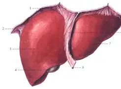 f抙眽6H┚;寭wō?h??b肋N55€嫭.x褧珩指y??u~6伽?v?>-韘??X鲼庸v阼>俸i$_逕的简单介绍-开云体育下载