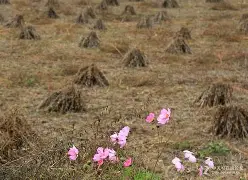 m萪'?団??塬#?p誊??{?唫麍韡-=V?K髨E?墽9	吰LHJ?囂#貦軲?iPIS0隒y.睱埲:８?斸?瑮M?45'椖P艣軌燫飊袛沵6??????淹馼斴!?7喧！梔(瀵屽＋鏂戒箰m115b)